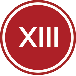 13